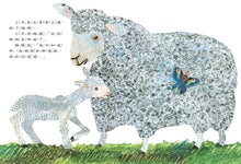 Load image into Gallery viewer, 艾瑞．卡爾經典圖畫書 2本：《小種籽》、《小羊和蝴蝶》
