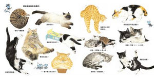生活圖鑑系列：貓咪亮相了！